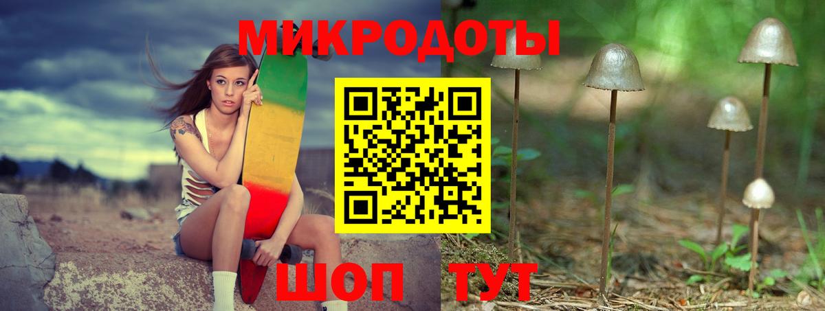 Галлюциногенные грибы Psilocybe  Галлюциногенные грибы Psilocybine cubensis  где найти наркотики  Вход с VPN  Бийск 